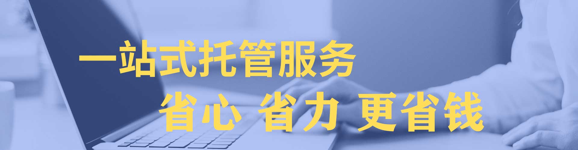 大树百度竞价开户